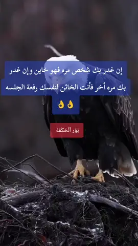 #مقولات_وحكم_ونصائح #صلو_على_رسول_الله_صل_الله_عليه_وسلم #ليك______🖤___متابعه____اكسبلووور #Tik #trend 