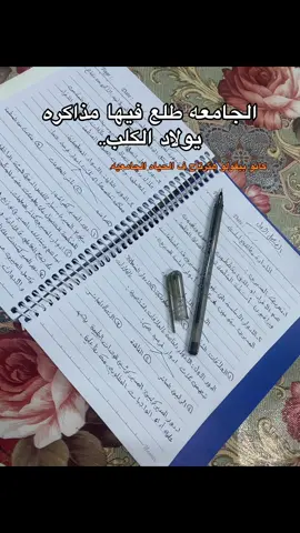 #explore #fyp #foryou 