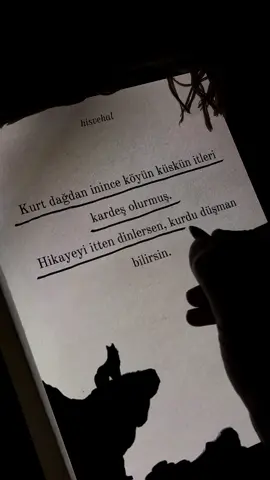 Kurt dağdan inince köyün küskün itleri kardeş olurmuş. Hikayeyi itten dinlersen, kurdu düşman bilirsin.✍🏻