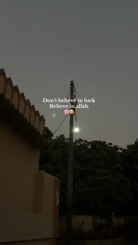 🌸🫠
