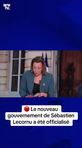 Le nouveau gouvernement de Sébastien Lecornu a été officialisé #lecornu #gouvernement #france 
