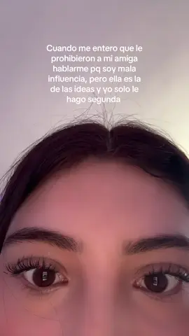 #contenido 