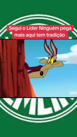 #CapCut Segui o Líder Ninguém pega mais aqui tem tradição #futebol #palmeiras #seriea 