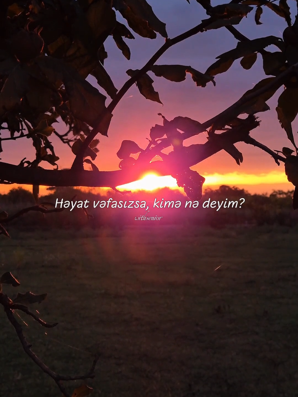 Vahid Əziz ✍️  #keşfett #vahidəziz #şeir #statusvideo 