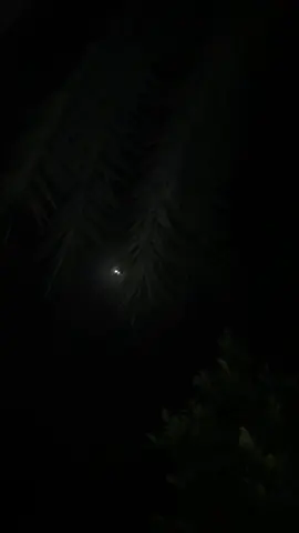 مسئلہ یہ نہیں ہے کہ دن بُرے چل رہے ہیں بات یہ ہے کہ جوانی ضائع ہو رہی ہے 🥀