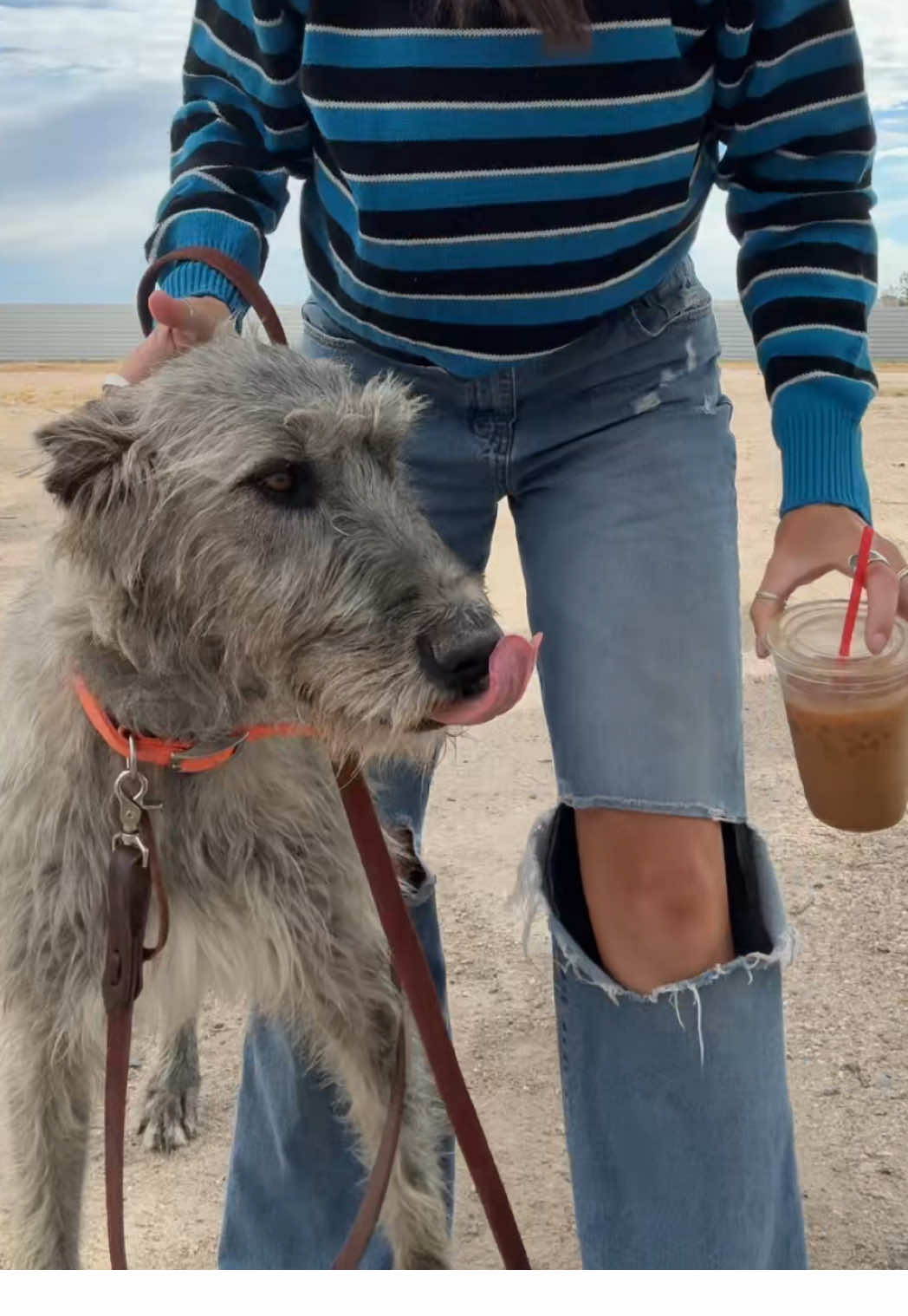 Saint Joan iced latte stripes ball cap chilly weather fire audio very good very good 