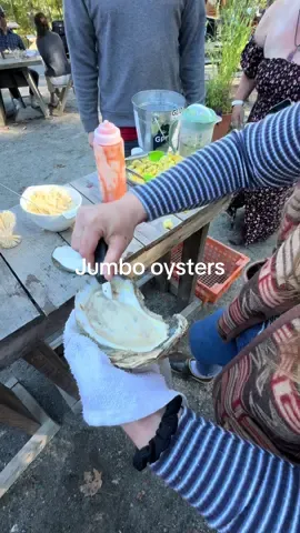 Shucking jumbo oysters will forever be my favorite party trick 🦪 #giantoyster #shuckingoysters #maine #foryou #viral 