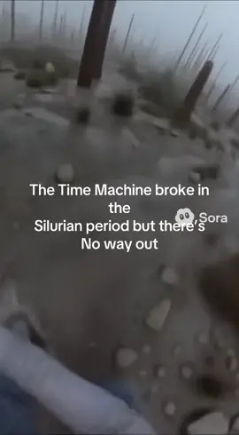 Silurian period #Silurianperiod #Silurian #History #earth #fyp 