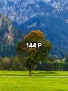 #4kwallpaper #4k #nature 