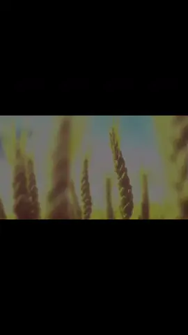 Quran X Vinland Saga | #anime #edit #fyp#quran#islamic_video   @Ibrahim.idris 