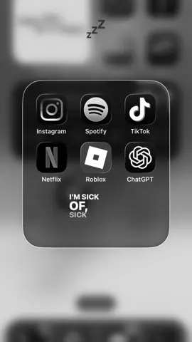 😍 #insta #spotify #chatgpt #netflix #roblox 