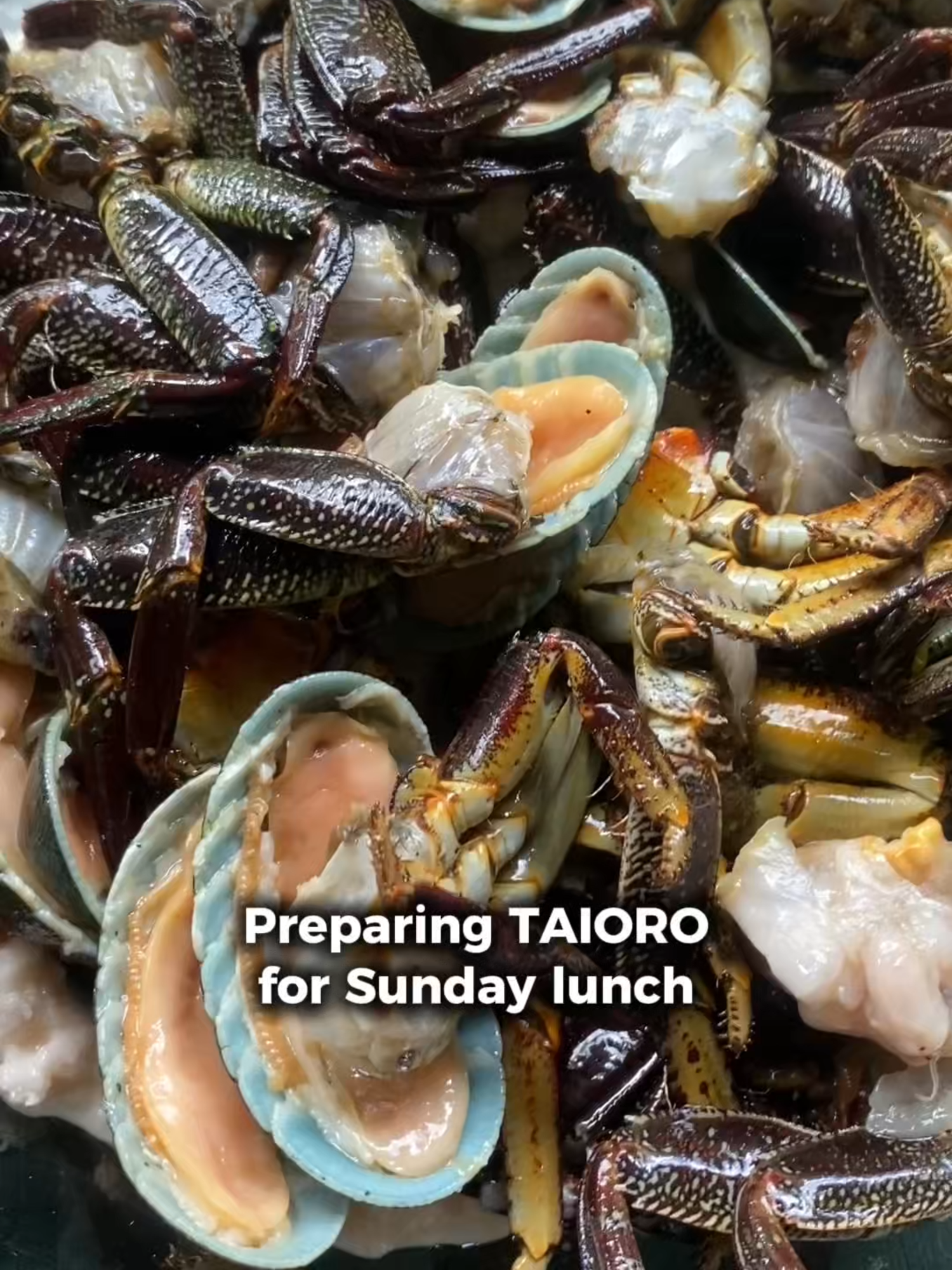 No shops. No crowds. Just the ocean and what it gives. 🌊🌴 #nukuhiva #marquesasislands #offgridlife #islandlife #hakaui #marquesanculture