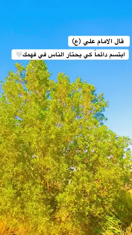 #تصويري📷 #تصوير_احترافي_الاجواء👌🏻🕊😴 #تصميم_فيديوهات🎶🎤🎬 