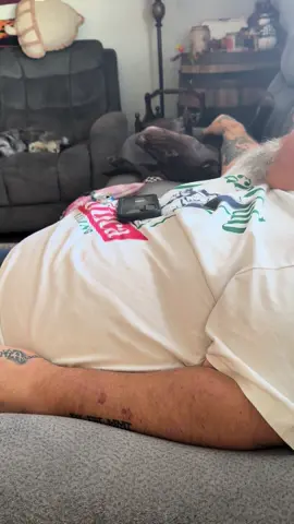 Best friends! #labrador #chocolatelab #PetsOfTikTok #whiskey #relax 