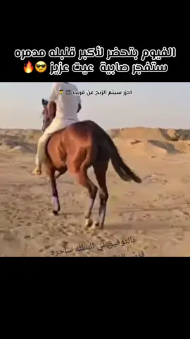 فرسان الفيوم #الفيوم_وادي_الريان_كوكب_السحر_والجمال #فلسطيني #غزه_رمز_العزه_فلسطين_القدس🇵🇸🇵🇸🇵🇸🇵🇸✌️ #اسوان_الاقصر_قنا_سوهاج_اسيوط_السودان 