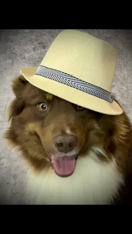 Maybe by next Saturday, this story time will be done! 🫣🤣 All you Ai experts, got any tips?!?!? 