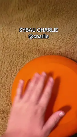 @ ur mate Charlie #VoiceEffects #fyp #viral #charlie #getonthefyp