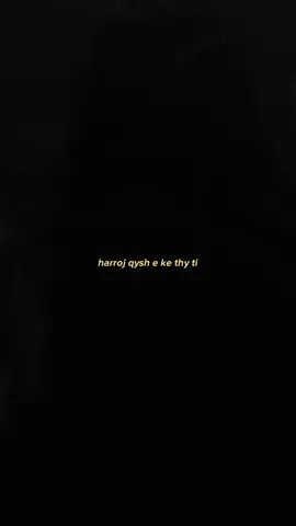 harroj #fyp #viral #ylllimani #dhuratadora #diskoteka