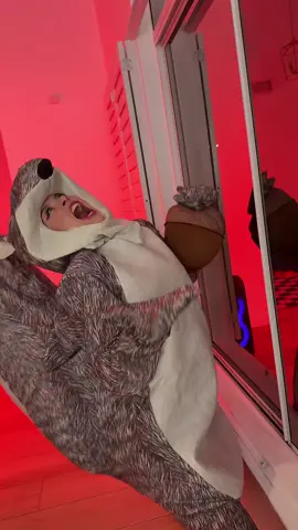 Can’t get enough #nibs #halloweencostume 