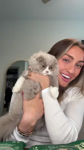 @aspen cleaning his eyes and ears today!! With a little treat at the end 🤭🤍