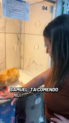 Samuel se mantém internado e está se alimentando muito bem e vai fazer um novo exame de sangue e o resultado do exame que vai nos informar se já podemos fazer a tomografia e quem sentir no coração de ajudar o gato Samuel o pix para ajuda voluntária é : fabinhodosgatos@gmail.com NUBANK #gato #gato #cat #gatinhos #catlover      