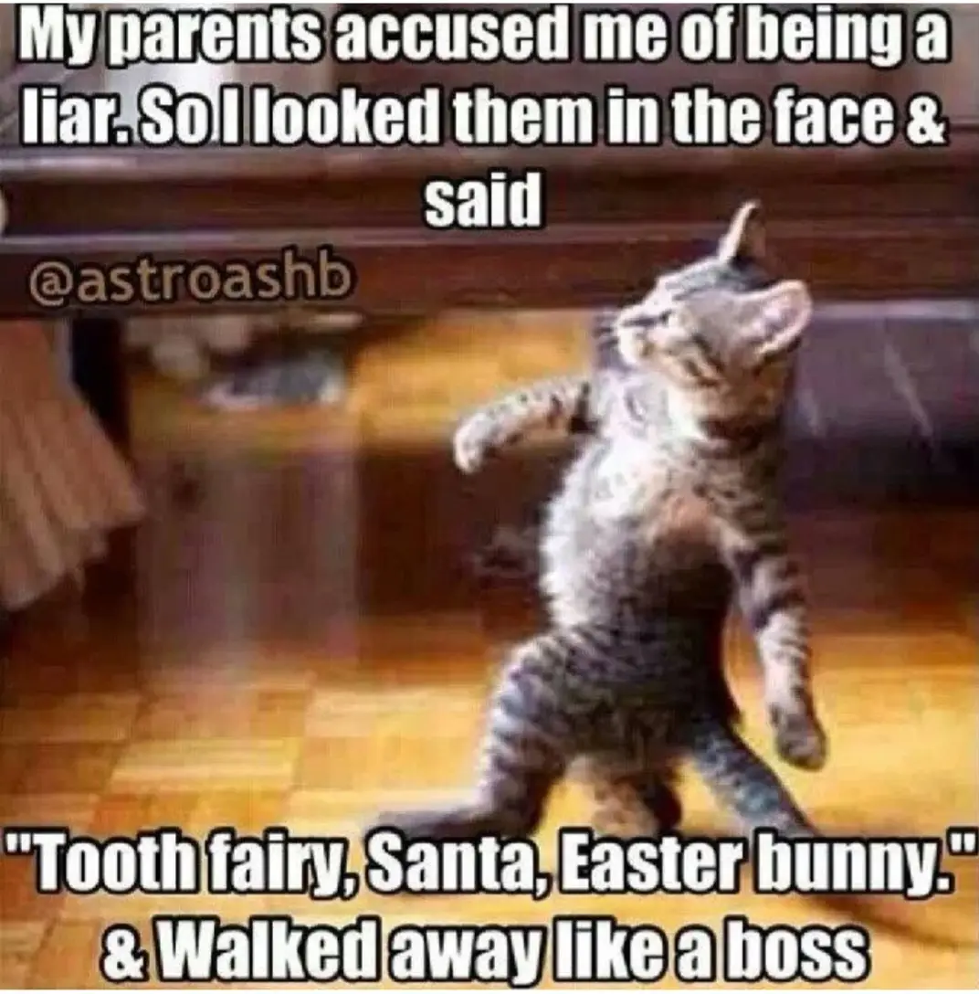 Ayyoooo 🤣🤣🤣🤣#foryoupage #hilarious🤣😂 #funny #lies 