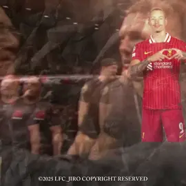 i'll never forget about you darwin ❤ #darwin #nunez #stillmyboy #hermano #fyp #viral #trend #liverpoolfc