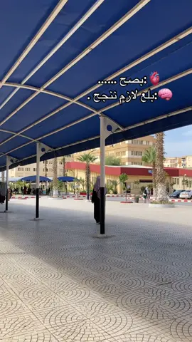 #⚖️ #القانون #كلية حقوق#طالبة حقوق#الجزاىر🇩🇿تونس🇹🇳المغرب🇲🇦 