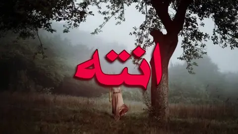 بس انته ما حسيت! #خالد_الحنين #creatorsearchinsights #foryoupage #vtrio #ترند_تيك_توك 