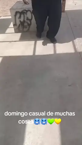 pasado de esquema el papaupa del flow 💛💚 TURA EN LA CASA