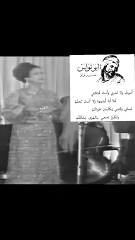 #ام_كلثوم #نسيت_النوم_وأحلامه #ابو_نواس #الشعر_العباسي #الشوق 