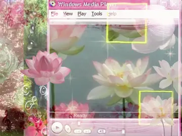 .☘︎ ݁˖ lotus flower .☘︎ ݁˖ || Sorry for not posting for a while I was busy with school and many exams 🥀 #lotus #flower #flowers #pink #moodboard 