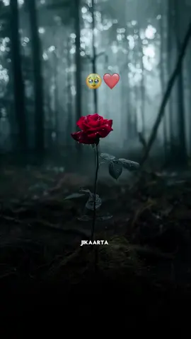 Repost taabo sxb👏🥰 #abwaan #hadraawi #fristvideo #lyricsedit #viewschallenge 