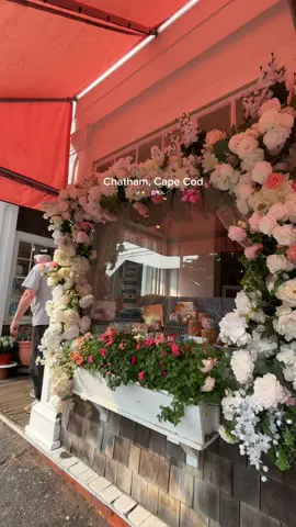 Looking through my summer drafts 🥺 love cape cod summers #Summer#tsitp#capecod#beach#newengland 