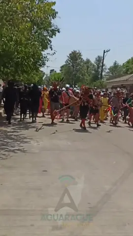 ✨🙌 Fe, tradición y devoción en Caraparí 🙌✨ La imagen de la Virgen de Guadalupe recorrió las calles acompañada por Promesantes, Matacos, Tobas, Chiriguanos, Cuñas, el Coro de Violines y devotos de todo el pueblo. 🎻🙏 Un momento lleno de fe, cultura y amor por nuestra patrona. 💐💙 #VirgendeGuadalupe #Caraparí #TradiciónViva #FeYPueblo #DevociónGuadalupana 