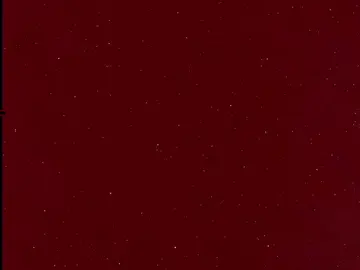 الله يعينك ياكلب شمتاني ✨❤️ ،،تفاعلو حبايب #تفاعلوا #لايكات #علي_حمدي_صالح  #لايكات_الاكسبلور_متابعه  #تصميم_فيديوهات🎶🎤🎬  #مالي_خلق_احط_هاشتاقات🦦 