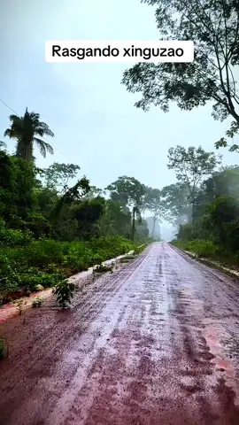 Xingu #natureza #viraltiktok #creatorsearchinsight 