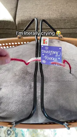 Wait for it😭😭 #tiktokmademebuyit #doglover #toastyhoody #smalldog #christmas 