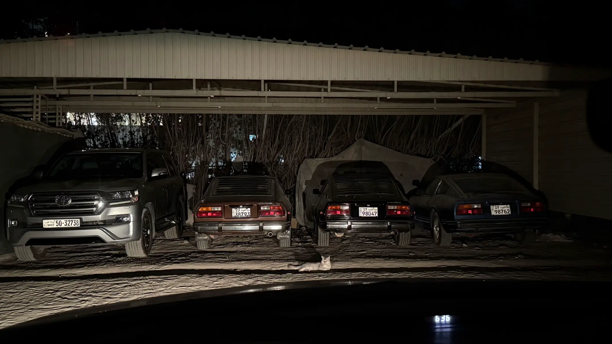 #الشعب_الصيني_ماله_حل😂😂 #اكسبلور #ترند 