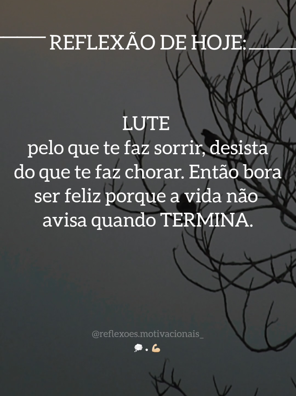 REFLEXÃO DE HOJE... 💭 #creatorsearchinsights #reflexaododia #reflexão #motivacao #frasesmotivadoras 