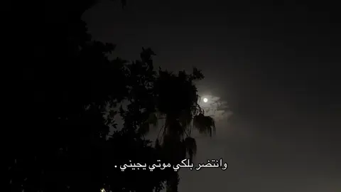 💔🥺#سيد_سلام_الحسيني #اللهم_صل_وسلم_على_نبينا_محمد #ياباعبدالله_الحسين🥺💔 #تصويري_احترافي_الاجواء👌🏻🕊😴 #باسم_الكربلائي_رادود_ما_له_مثيل 