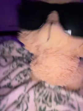 D1 diva tbh #fyp #Fyp #fypシ 