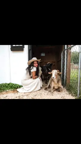 The definition of “if you fight, I fight”. Magoo. My first real tough lesson in rescue. Magoo came to us at just a matter of weeks old, from a loving family who wanted to find a sanctuary to place him in considering his disabilities. Magoo was born with contracted front tendons.. and at one point his health took a nose dive and he had to be hospitalized. I’ll never forget flying to the hospital with him in my lap barely breathing. I could barely breathe I was crying so bad, I couldn’t see the road. When Magoo was admitted, his odds didn’t look favorable and every day was touch and go. So everyday, I went to the hospital and took naps in his stall with him. I’d bring him stuffed animals and he snuggle in them and watch himself in his fun mirror.  When Magoo was able to come home, he would spend weekends at my parent’s house when I’d be at work.. so he had constant supervision and playtime. My dad- despite his own disabilities, would walk Magoo around in their backyard in our old wagon. Magoo would romp with their doggies and then after work I’d pick him up and we’d snuggle the whole car ride home.  Magoo has paved the way for many of our kids and taught me how to communicate with them and advocate for them. This is a gift I had long pushed down.. as my own self resentments surfaced. I listened to the few negative voices over the years instead of the thousands of positive ones. I forgot really who I was and how blessed I am to have the gifts I do.  When Sarah from @roamtherange.co was here a couple weeks ago, she photographed me with not just the horses, but all my kids (minus the moo cows cause they weren’t in the moood). Every time she showed me pictures on her camera.. it felt like a piece of my memory came back. Like I was finally recognizing myself again.. the real me. Not the me that I conjured up in my mind.  This is me. This is us. This is HHHH. All of us here. A farm sanctuary- with a draft horse focus.  I am so proud of what we all created here and I know we are just getting started ❤️.  : . Our next open house with be December 6th from 2-5 :) I’ll share more as the date approaches but I figured I’d throw it out here now so we can plan.  ❤️ #farm