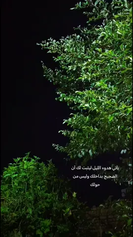 ولنا في هدوء الليل حياة اخرى🖤