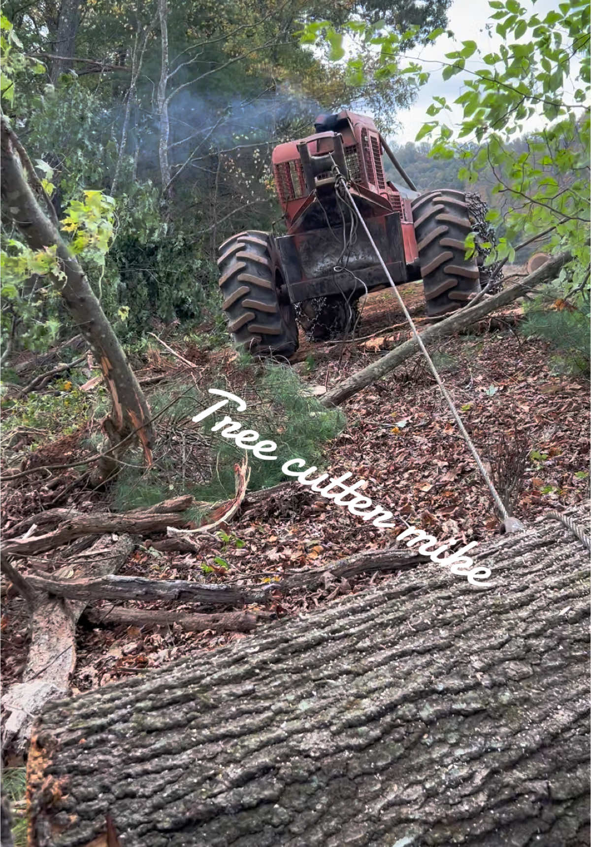 #timberjack240 #winching #woodgrain #562XP #oldschool #xcutchain #kleinhardhats #loggerlife #loggertok 
