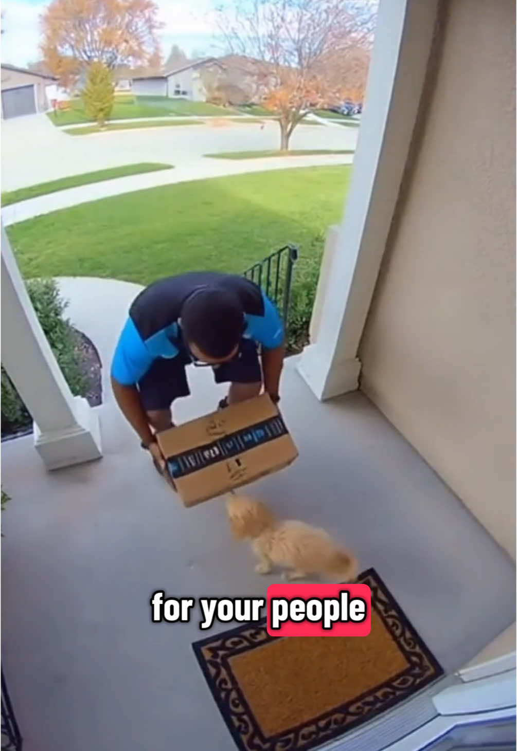 Cutest golden puppy takes in parcel from delivery driver 🐶 #deliverydriver #puppy #puppyvideos 