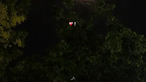 #تامر_عاشور 