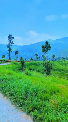 @زرک بریال ❤️ #videographay #amazaibeuty #khpalkali #amazai #khpalkali 