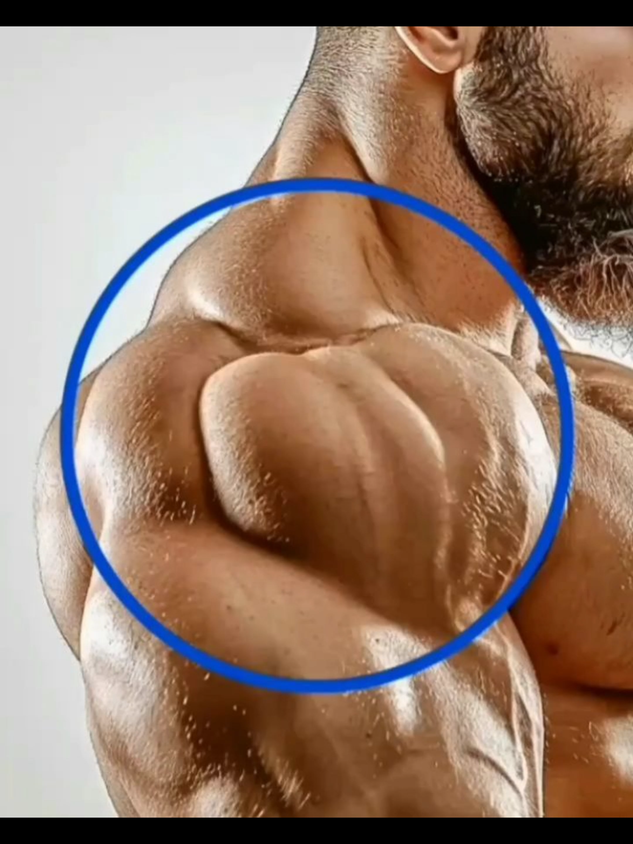 Shoulder Workout 🥵🔥 (Save & Share) Here are some of my favorite exercises for 3D shoulders 💯. Simple but effective ✅ Don’t forget to tag & share with a friend ❤️ Like | Share | Follow ✅ #tiktok #Fitness #gym #gymfit #workout #absworkout #homeworkout #fit #foryou #chestworkout #tiktok_uk #shoulders #shouldersworkout