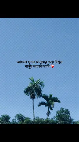 আসলে সুন্দর মানুষের চেয়ে বিশ্বস্ত মানুষ অনেক দামি!❤️‍🩹 #foryou #banglacaption #sadcaption #emotionalvideo #fyp 